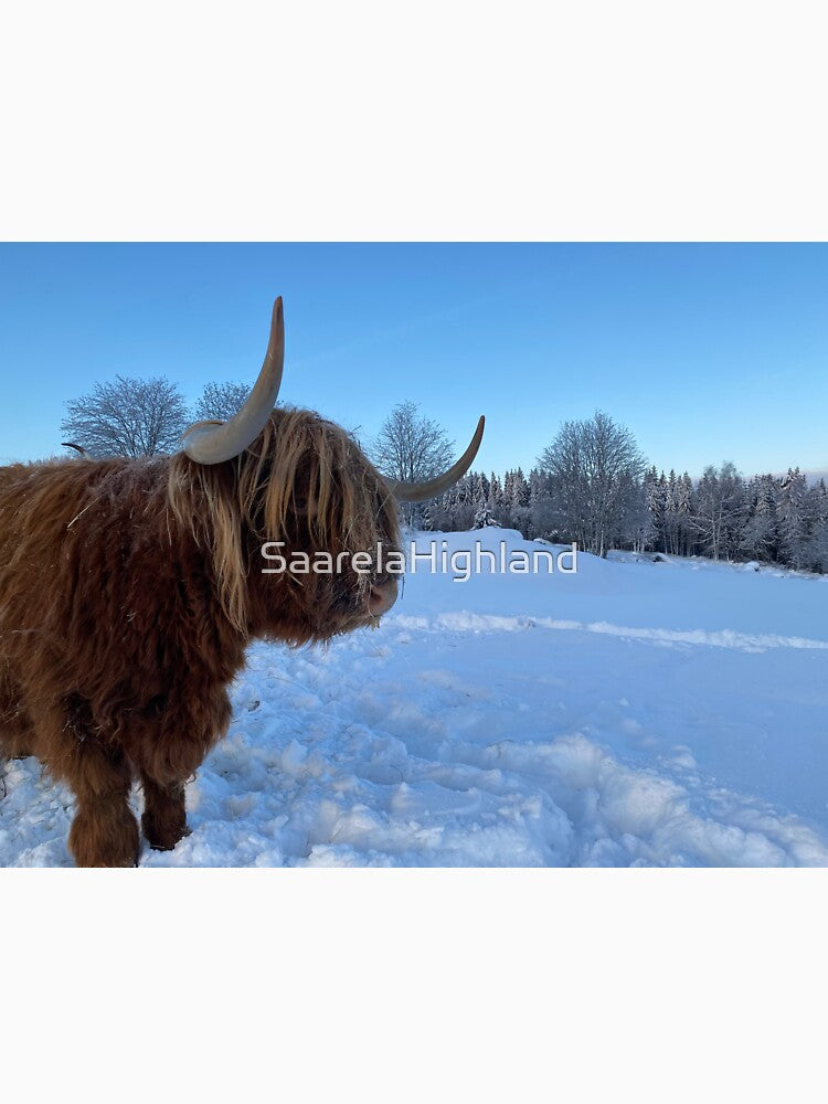 Scottish Highland Cattle Cow 3144 by SaarelaHighland