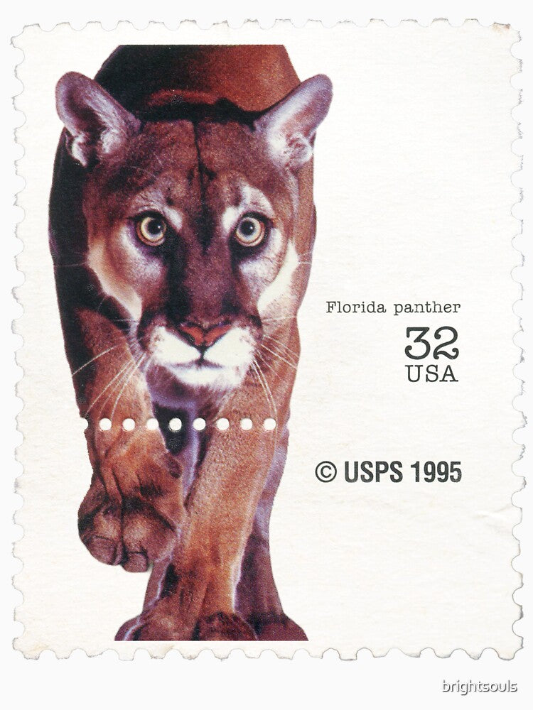 USA Endangered Species- Florida Panther (White) by brightsouls