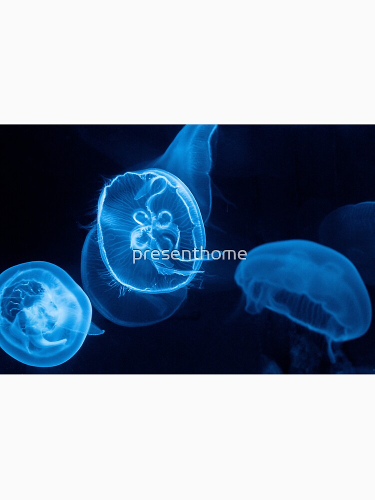 Glowing Blue Jellyfish by presenthome