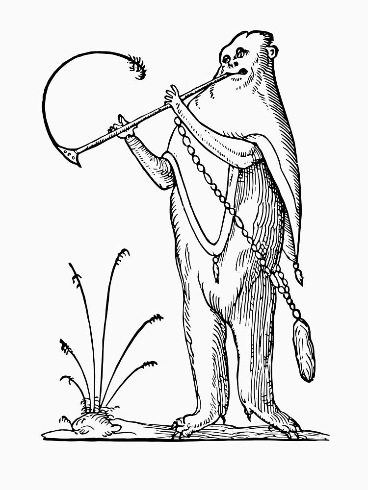 Grotesque #31 The Drolatic Dreams of Pantagruel (1565) by Texterns