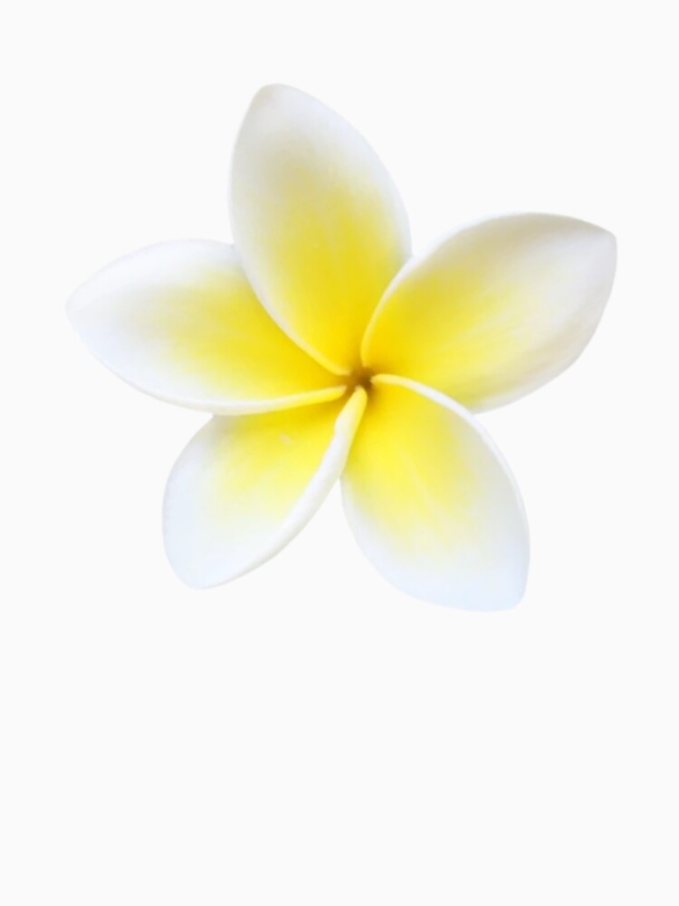 Plumeria flower by Pixiedrop