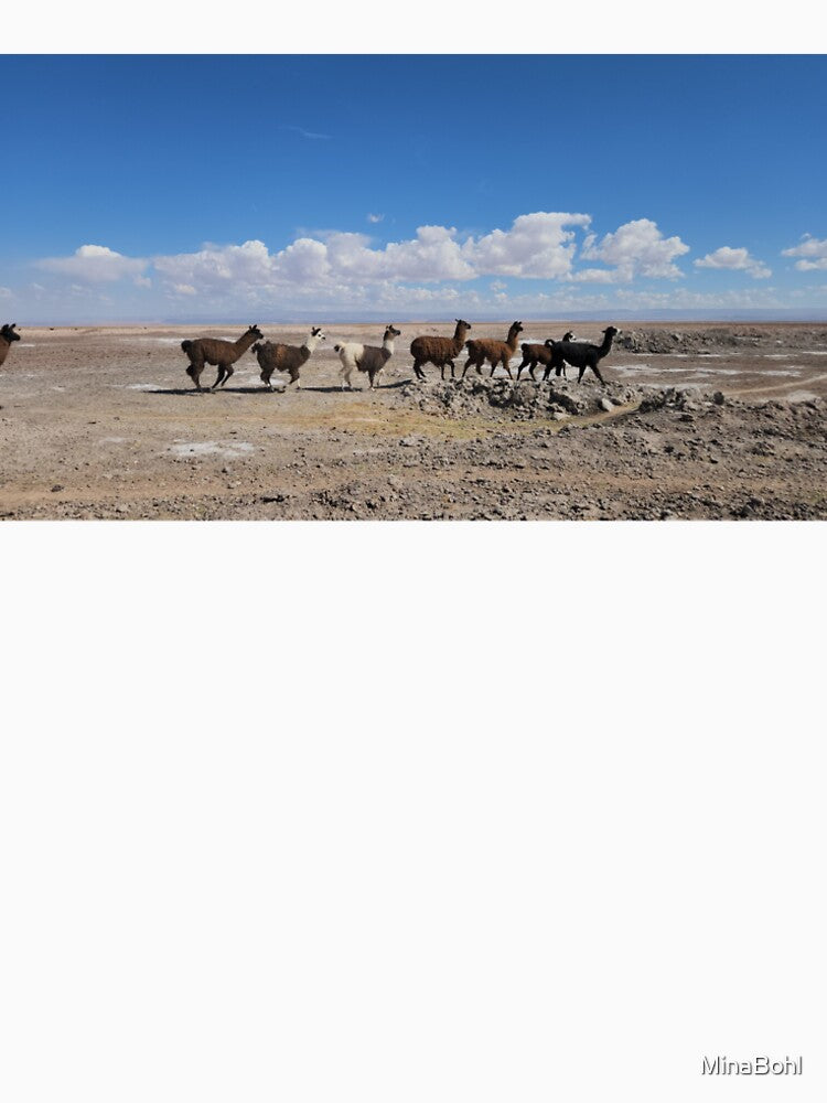 Alpacas in Chile by MinaBohl