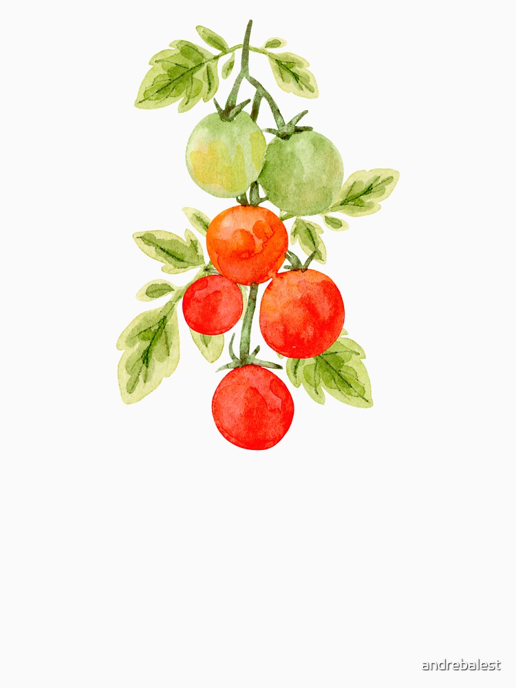 Cherry Tomatoes in Watercolor by andrebalest.art