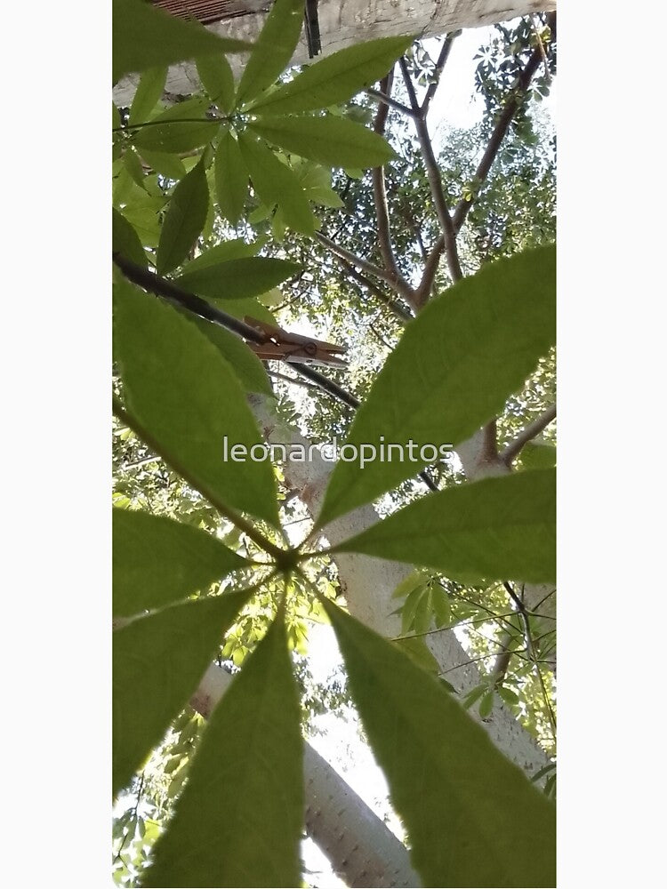 Patio 3 by leonardopintos