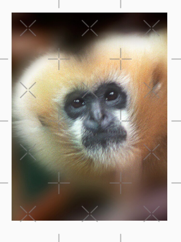 Gibbon ape staring at camera by dangerouslyclos