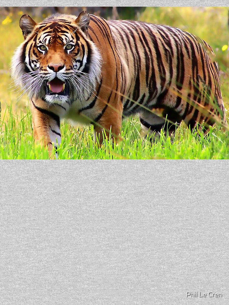 Sumatran Tiger (2) by Phil Le Cren