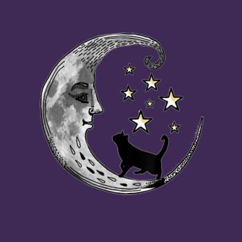 Moon and Stars with Black Cat Hoodie