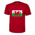 Wales Flag Red Dragon T-shirt for Adult, Children Ladies World Cup Football 2026