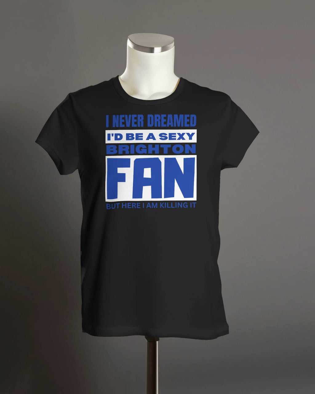 Sexy BRIGHTON Fan | Goldstone Falmer Hove East Sussex Gull