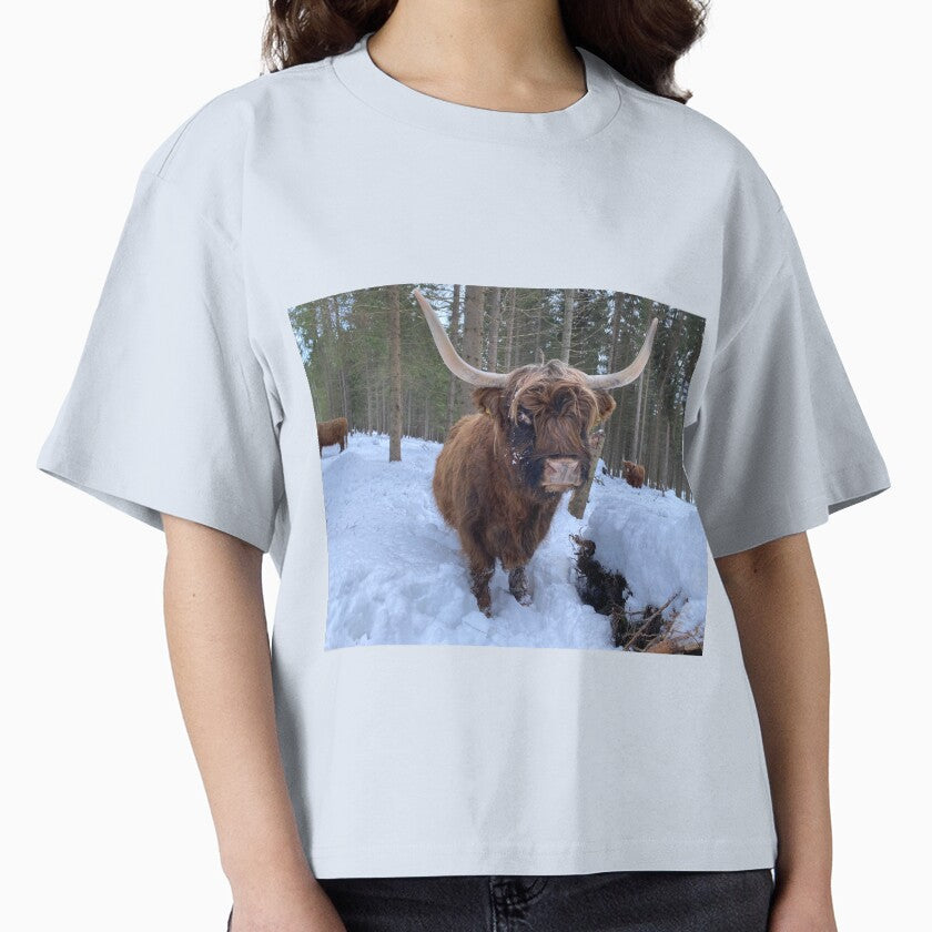 Scottish Highland Cattle Cow 3180 by SaarelaHighland