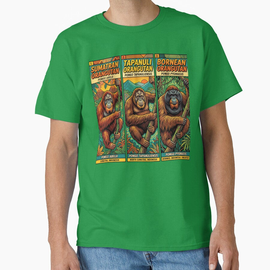 The Three Orangutan Species | Sumatran, Tapanuli & Bornean Orangutans | Wildlife Conservation Art by redsharkuk