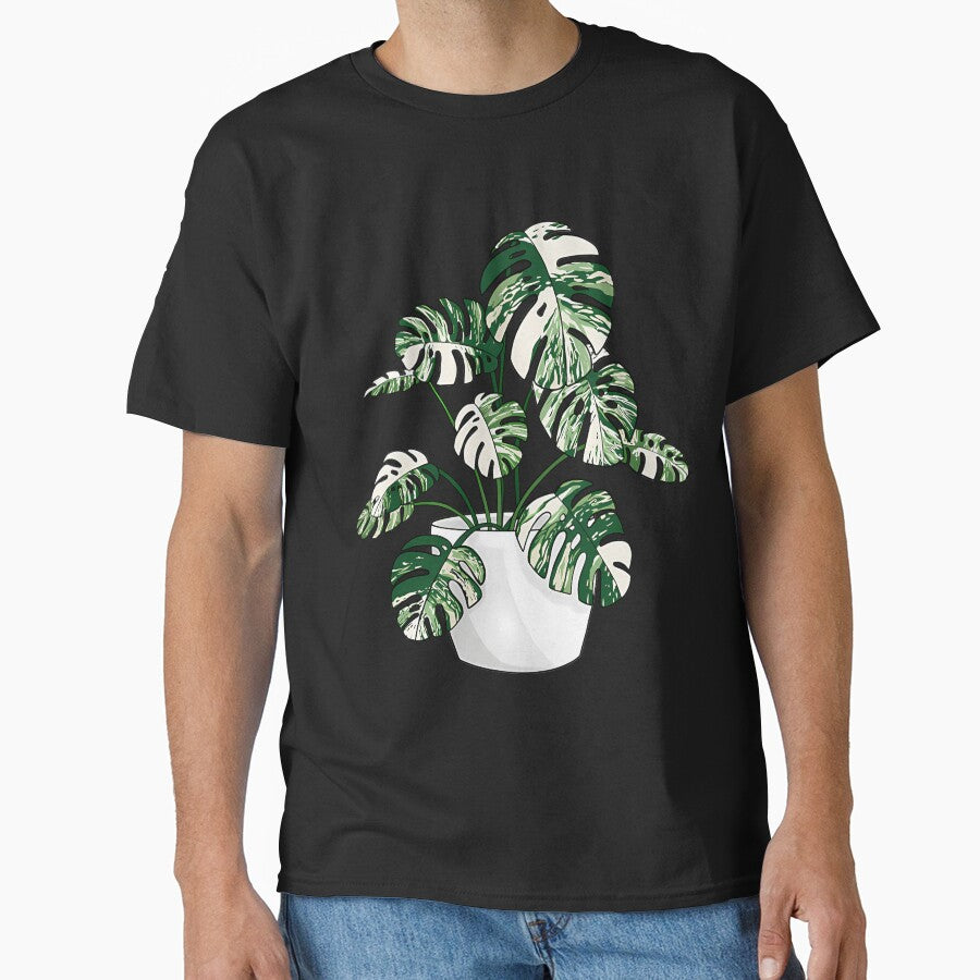 Variegated Monstera Deliciosa by satmilppk62