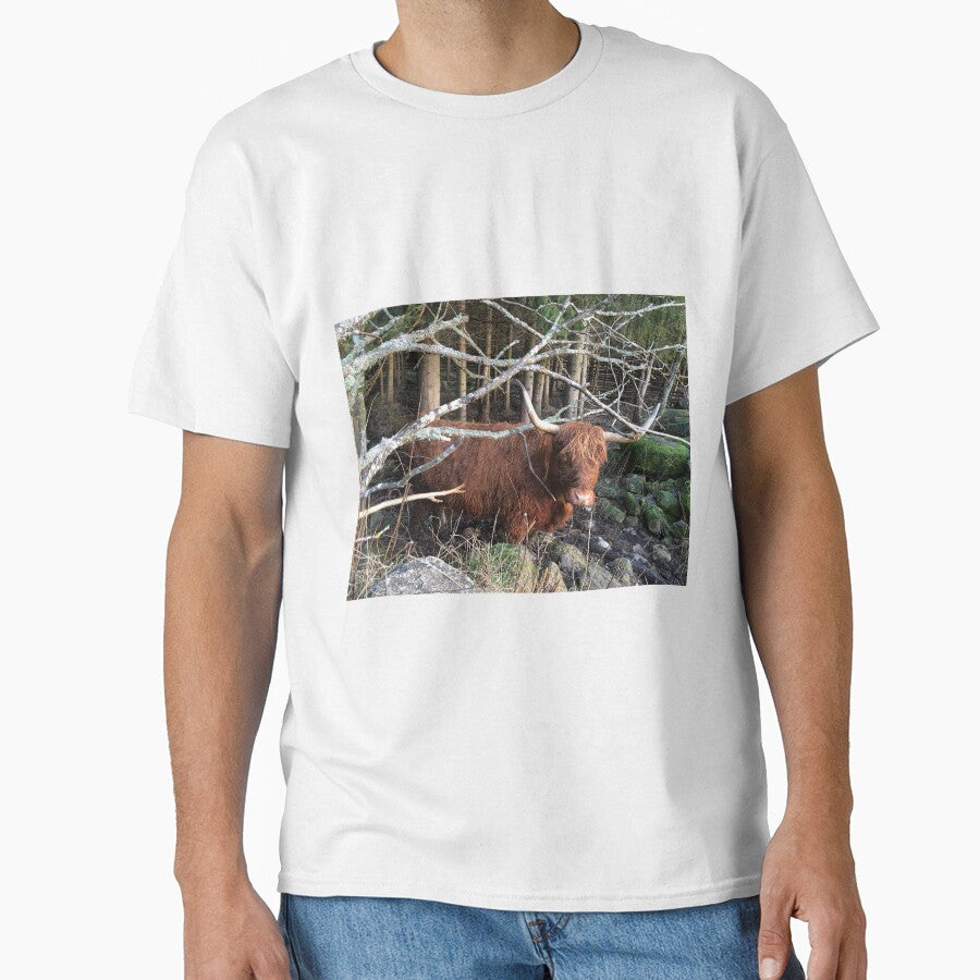 Scottish Highland Cattle Cow 1007 by SaarelaHighland