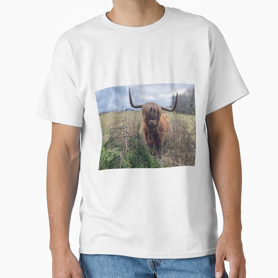 Scottish Highland Cattle Cow 3072 by SaarelaHighland