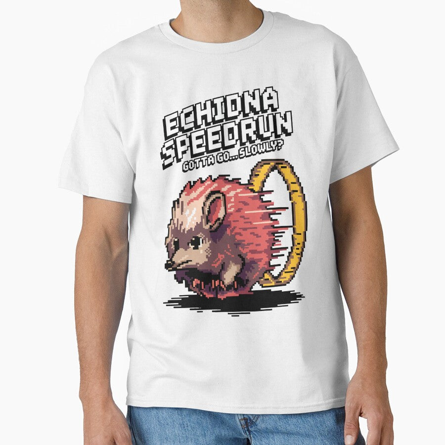 Echidna Speedrun – Gotta Go… Slowly? Funny Pixel Art by NaturePixel