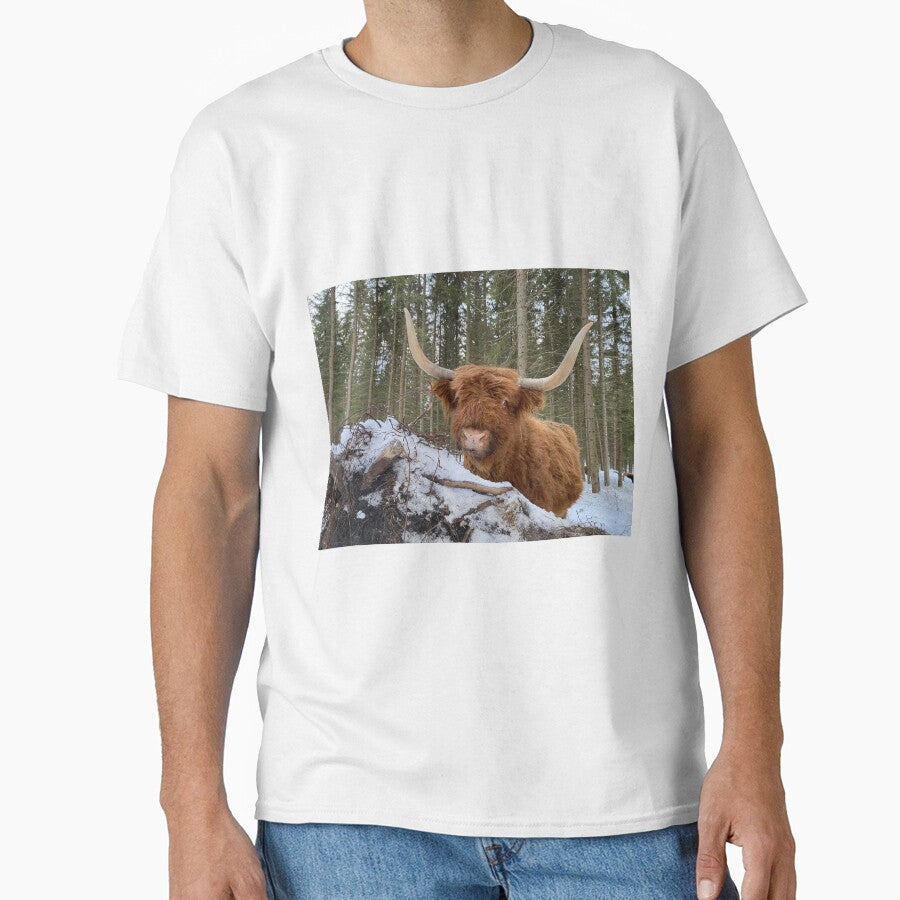 Scottish Highland Cattle Cow 3173 by SaarelaHighland