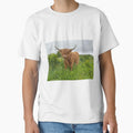 Scottish Highland Cattle Cow 3368 by SaarelaHighland