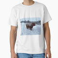 Scottish Highland Cattle Cow in snow 2739 by SaarelaHighland
