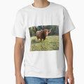 Scottish Highland Cattle Cow 2998 by SaarelaHighland