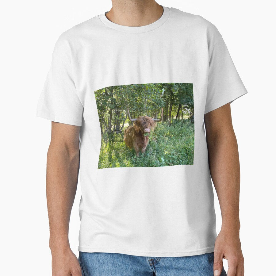 Scottish Highland Cattle Cow 2916 by SaarelaHighland