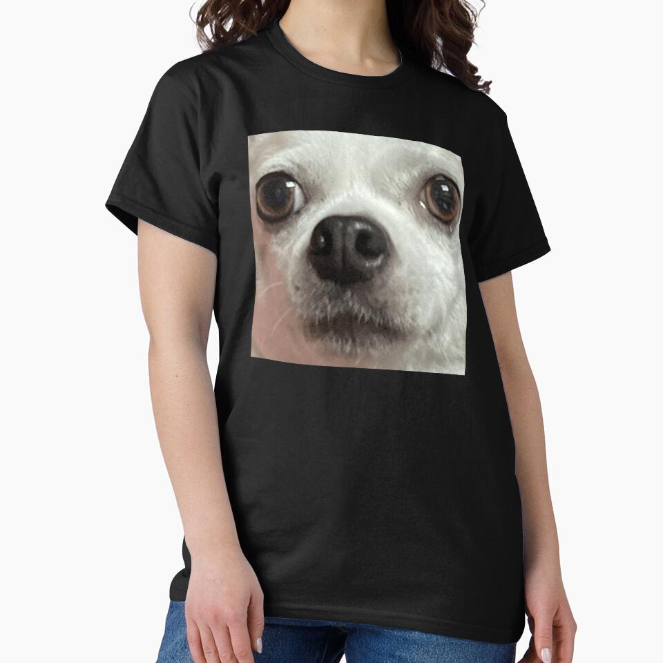 Taco the Chihuahua by ThunderRuler