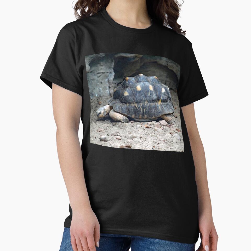 Radiated Tortoise by Strawflower Oasis