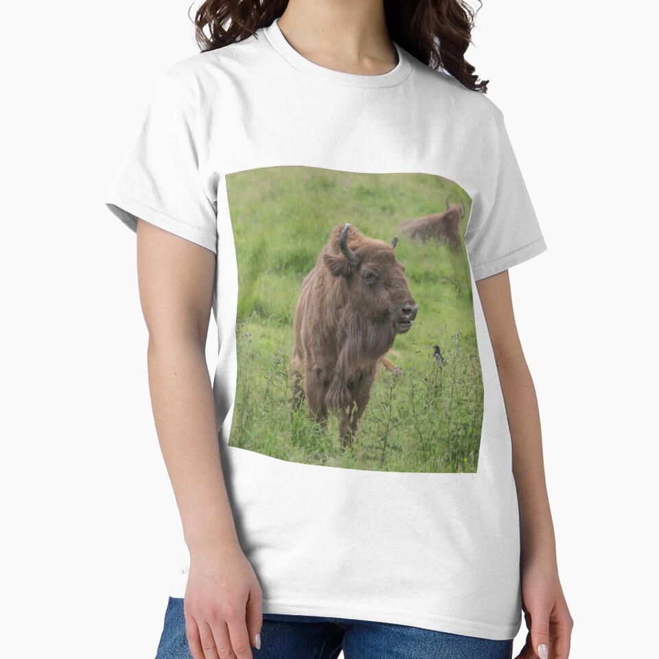 European Bison by Conservation Art Emporium