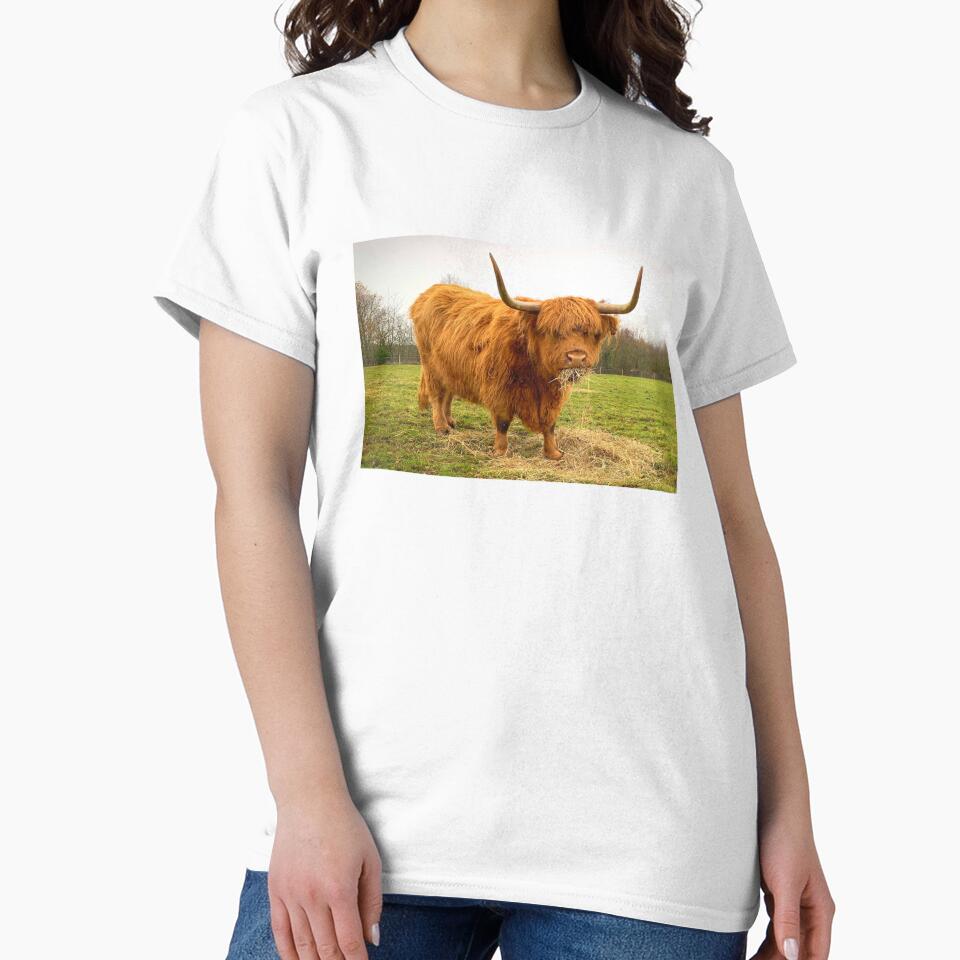 Scottish Highland Cow Picture by TheAnimalZ00