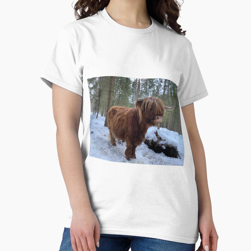 Scottish Highland Cattle Cow 3175 by SaarelaHighland