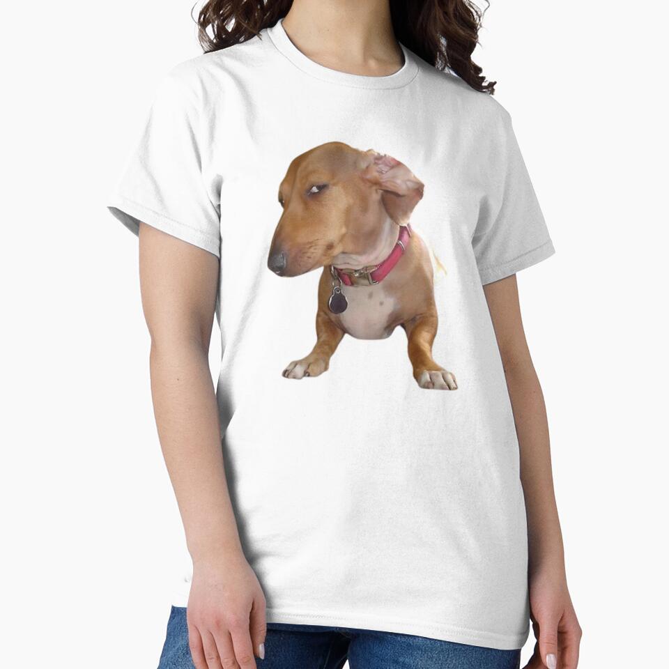 Side Eye Dog - Suspicious Look Meme by klaro45