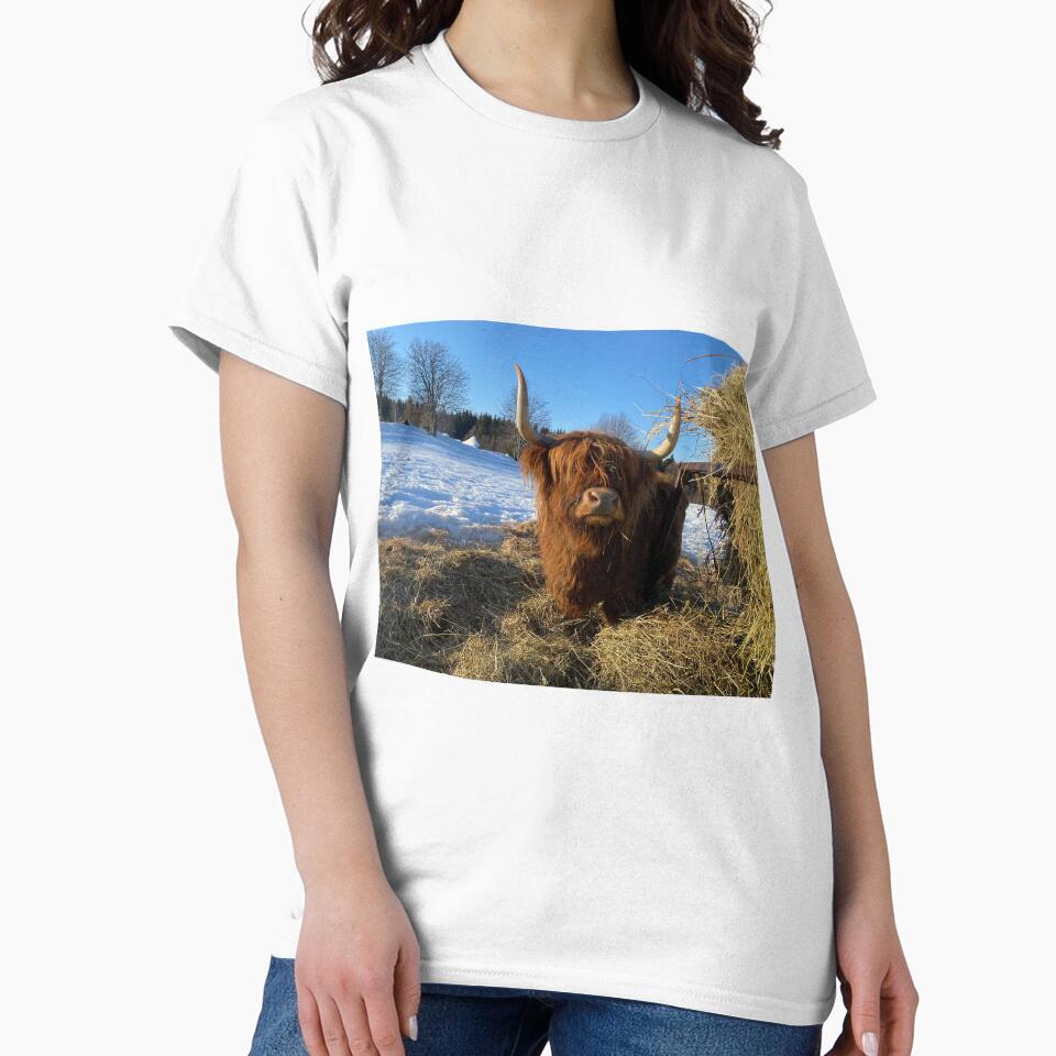 Scottish Highland Cattle Cow 3250 by SaarelaHighland
