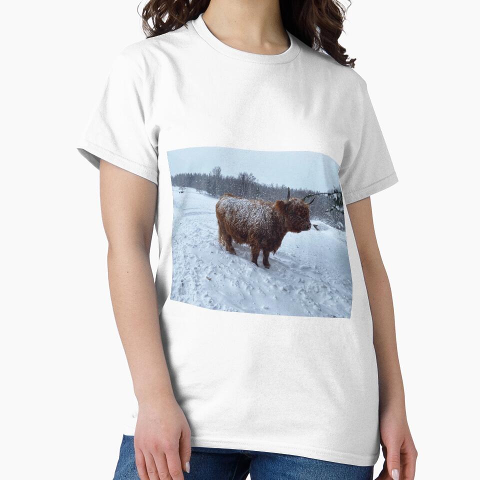 Scottish Highland Cattle Cow in snow 2739 by SaarelaHighland