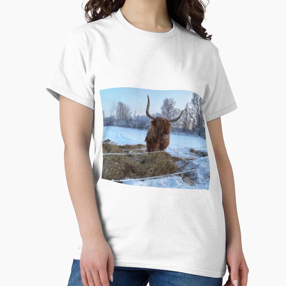 Scottish Highland Cattle Cow in snow 2717 by SaarelaHighland
