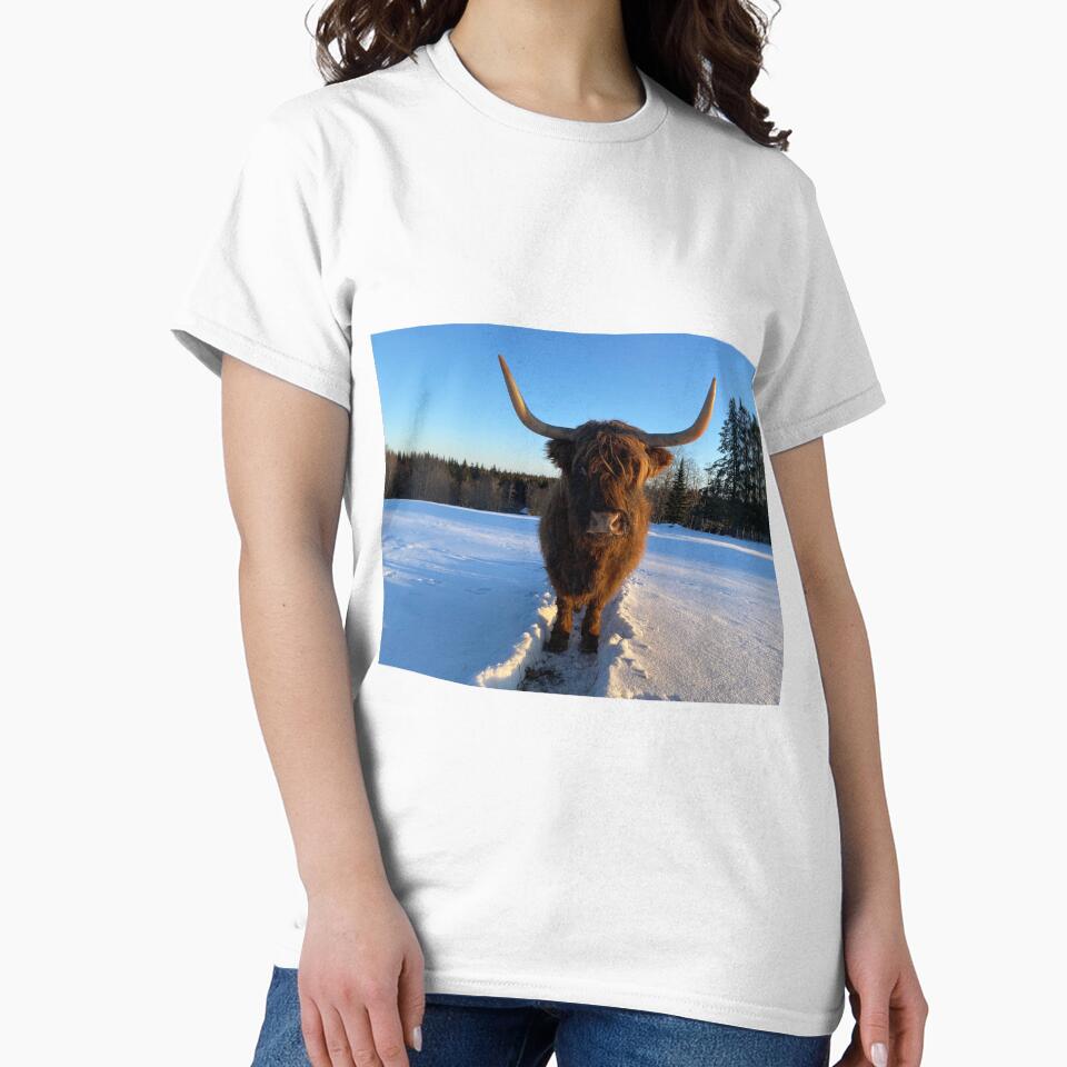 Scottish Highland Cattle Cow 3187 by SaarelaHighland