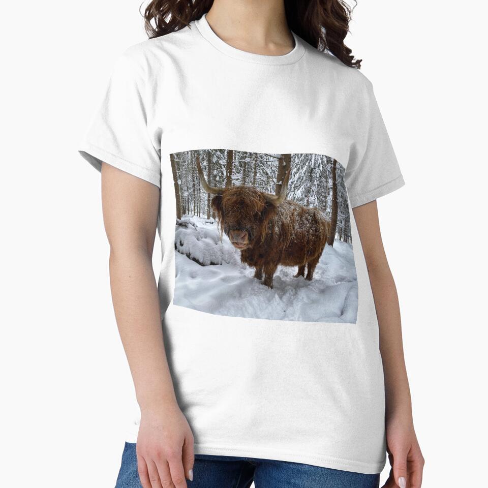 Scottish Highland Cattle Cow in snow 2710 by SaarelaHighland