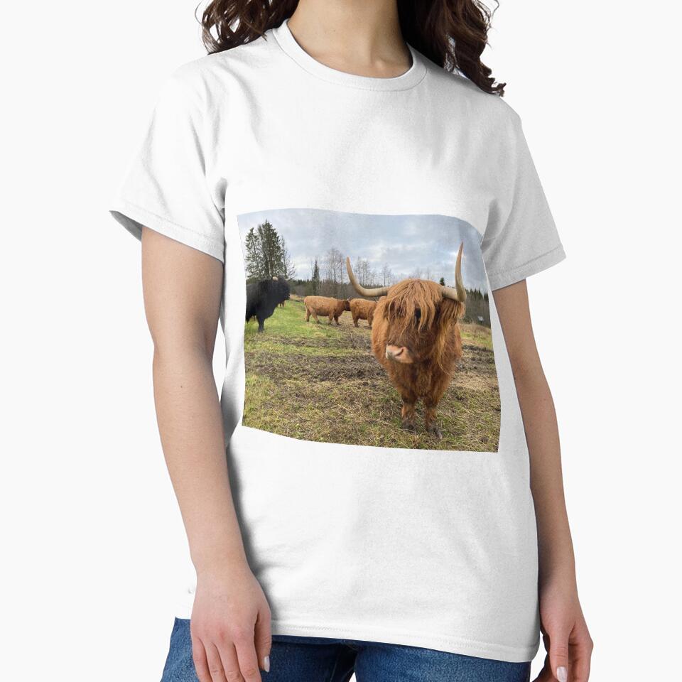 Scottish Highland Cattle Cow 3063 by SaarelaHighland