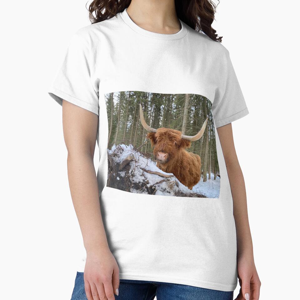 Scottish Highland Cattle Cow 3173 by SaarelaHighland