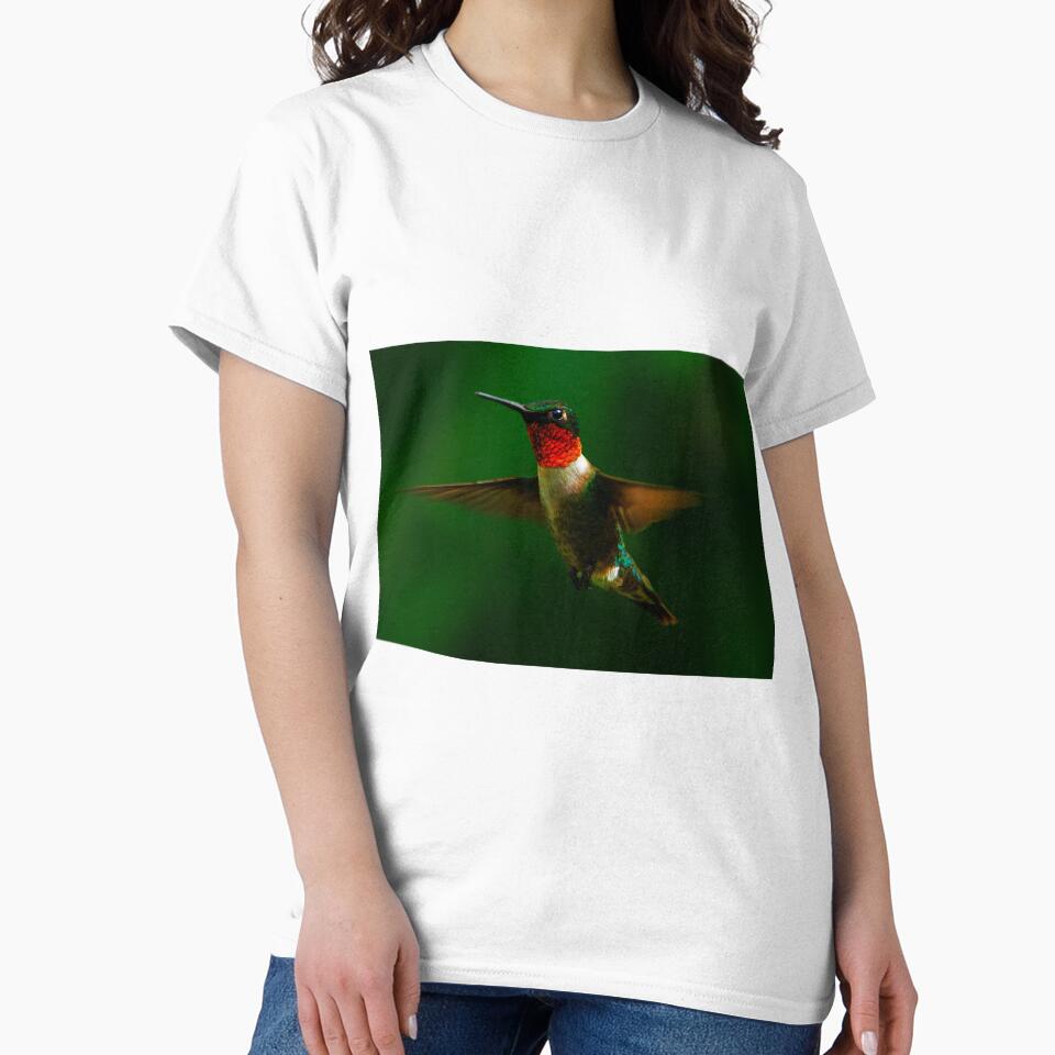 Ruby Throated Humming Bird by purelightimages