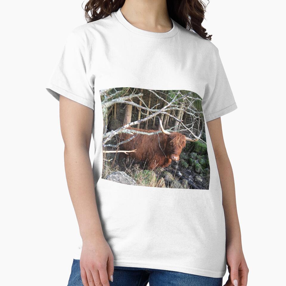 Scottish Highland Cattle Cow 1007 by SaarelaHighland