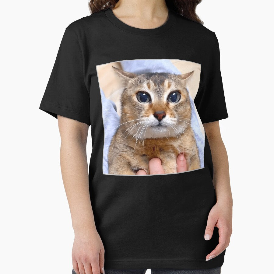Silly Vro Cat Meme Tole Tole by TyrelKoch