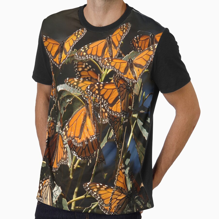 Monarch Butterflies Art Photo by DEC02