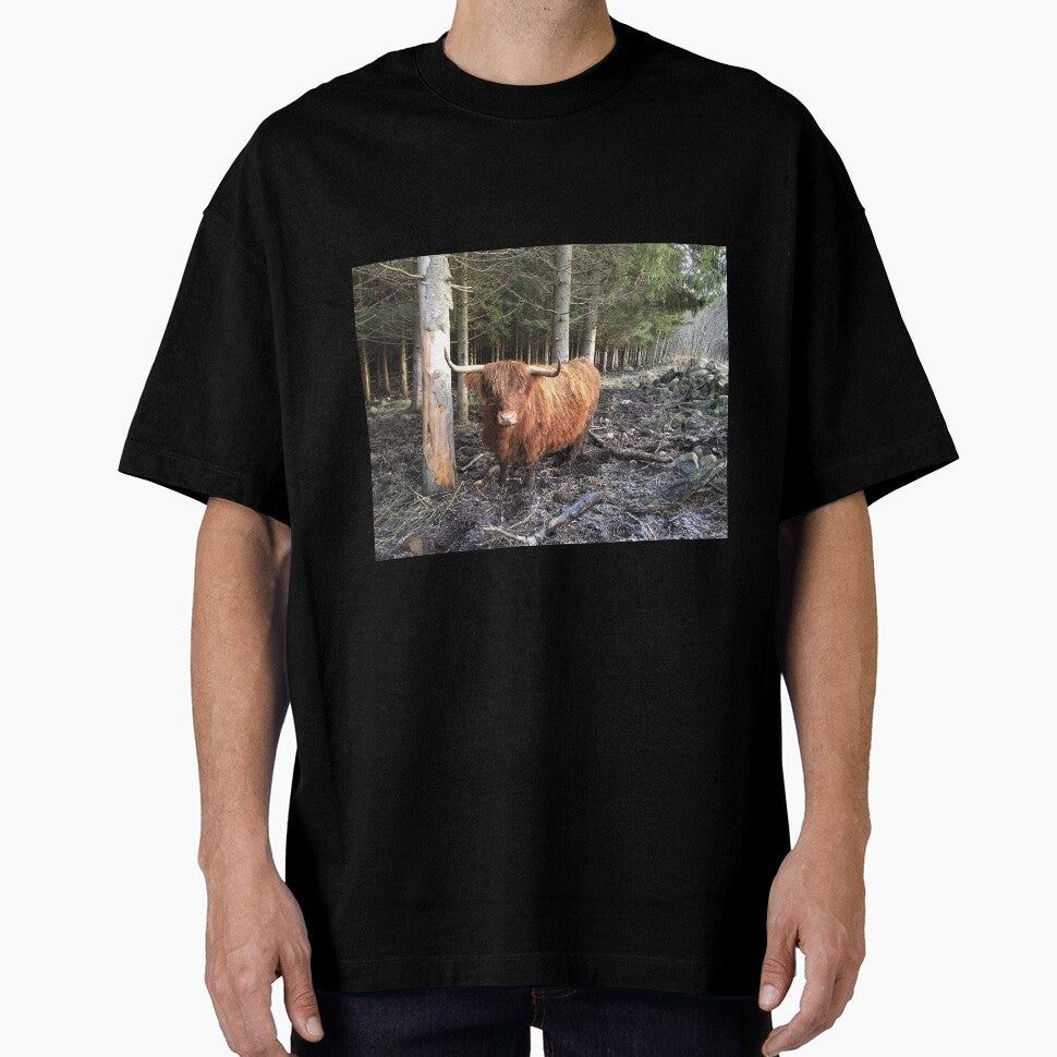 Scottish Highland Cattle Cow 1008 by SaarelaHighland
