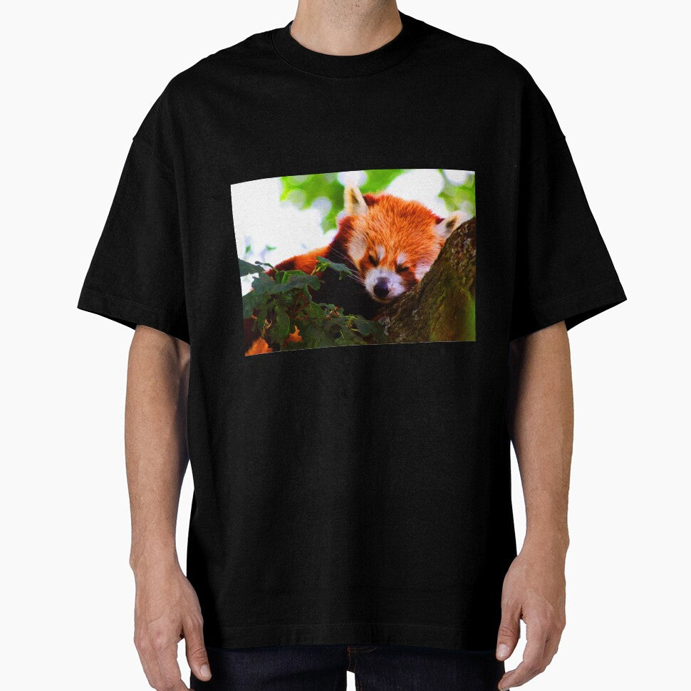 Red Panda by Focal-Art