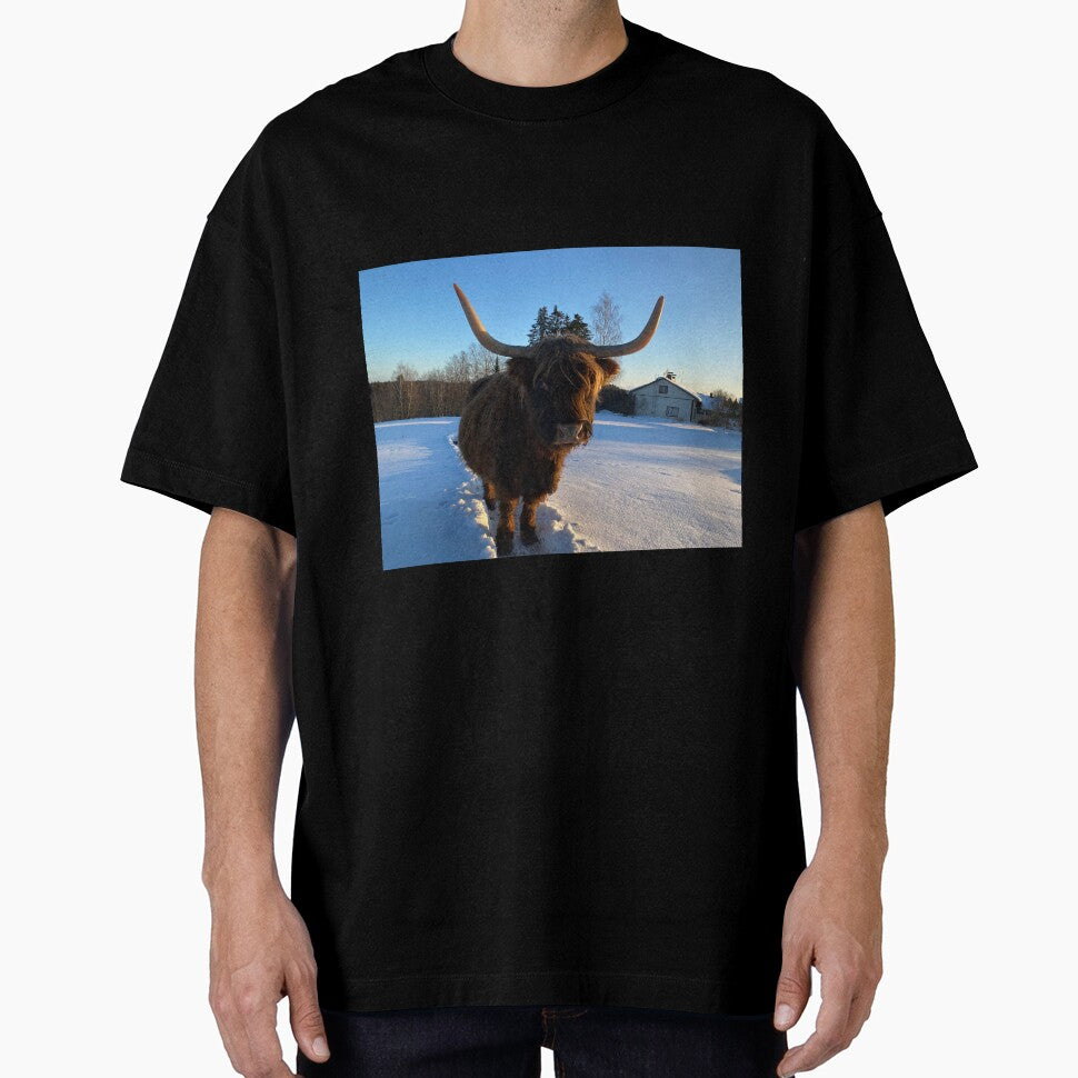 Scottish Highland Cattle Cow 3188 by SaarelaHighland