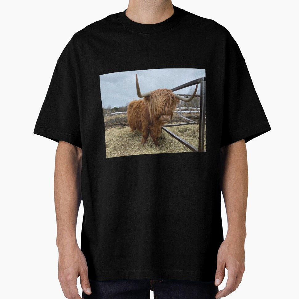 Scottish Highland Cattle Cow 3321 by SaarelaHighland