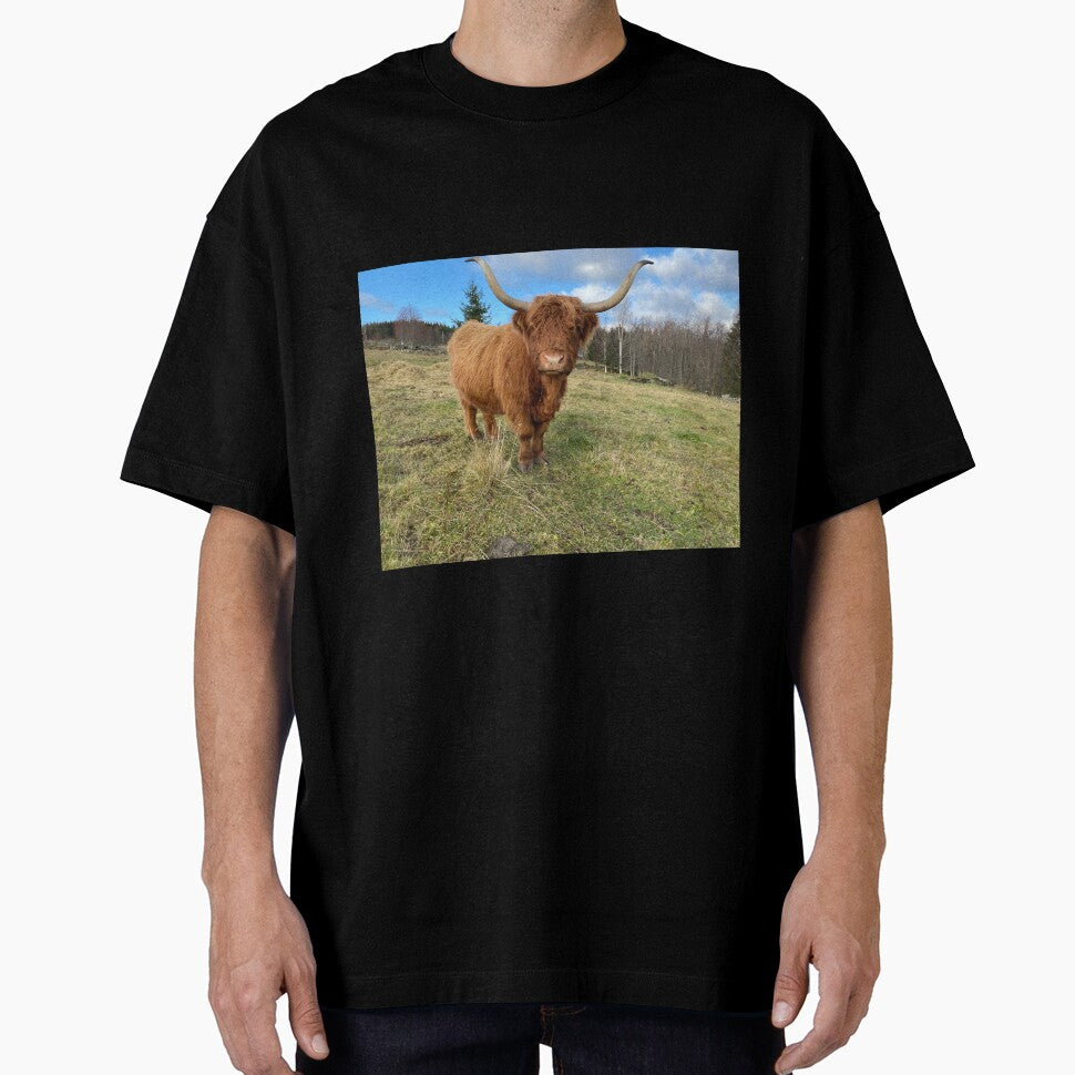 Scottish Highland Cattle Cow 3032 by SaarelaHighland