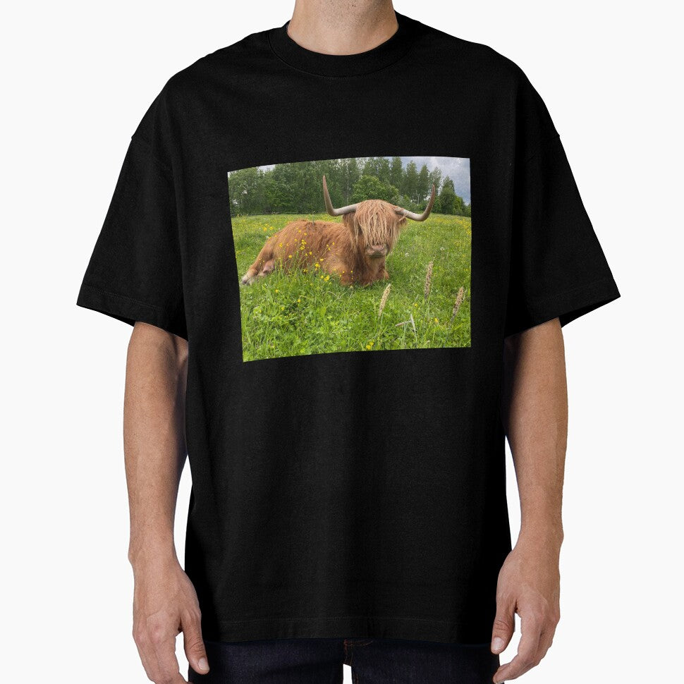 Scottish Highland Cattle Cow 3367 by SaarelaHighland