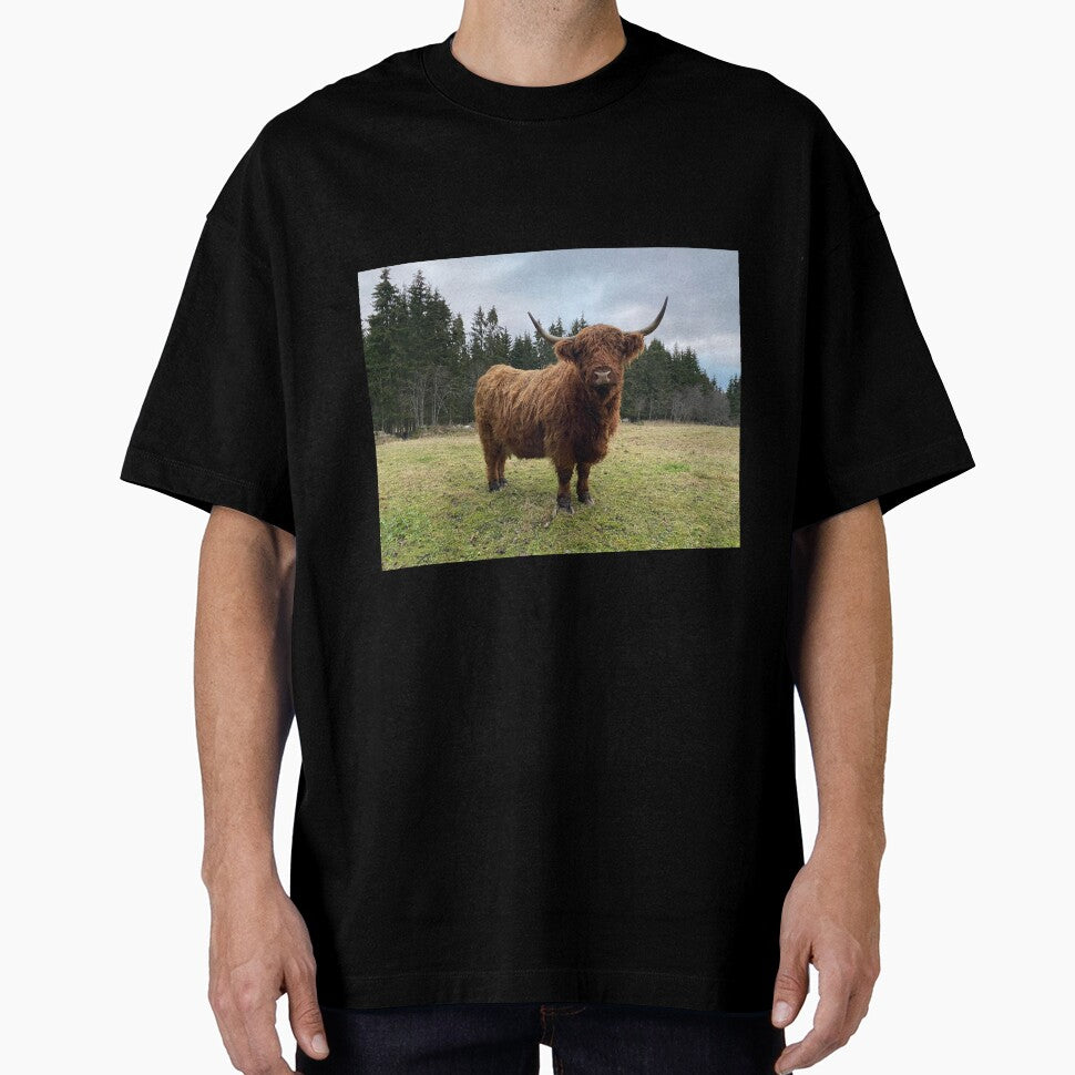 Scottish Highland Cattle Cow 3080 by SaarelaHighland