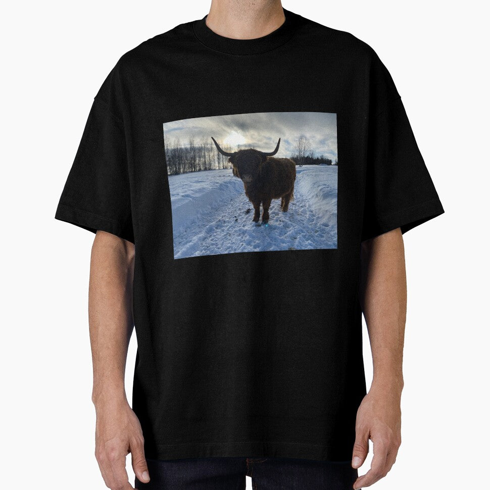 Scottish Highland Cattle Cow 3244 by SaarelaHighland