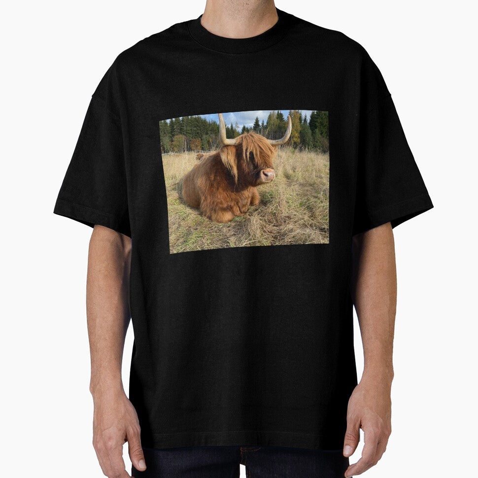 Scottish Highland Cattle Cow 3002 by SaarelaHighland